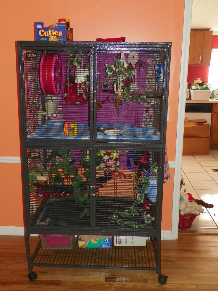 GliderGossip My babies new home )